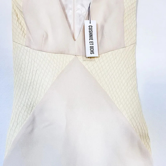 Cushnie Et Ochs‎ Fishnet Leather & Wool Crepe Paneled Dress Ivory Size 6 - Picture 4 of 10